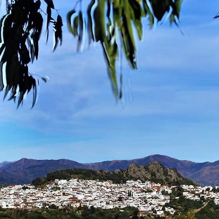 Casa Rural Sierras De Gaucín Εξωτερικό φωτογραφία