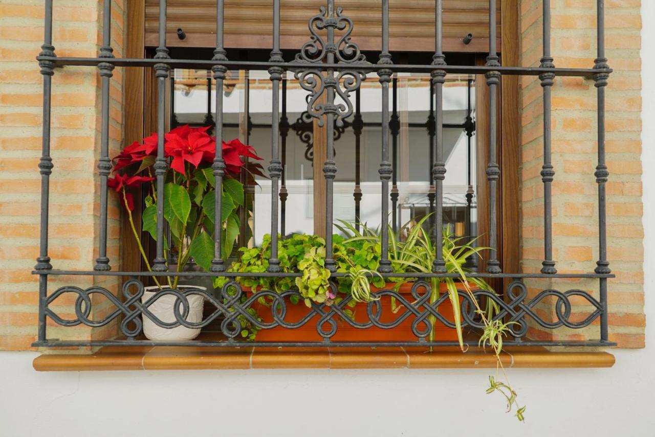 Casa Rural Sierras De Gaucín Εξωτερικό φωτογραφία