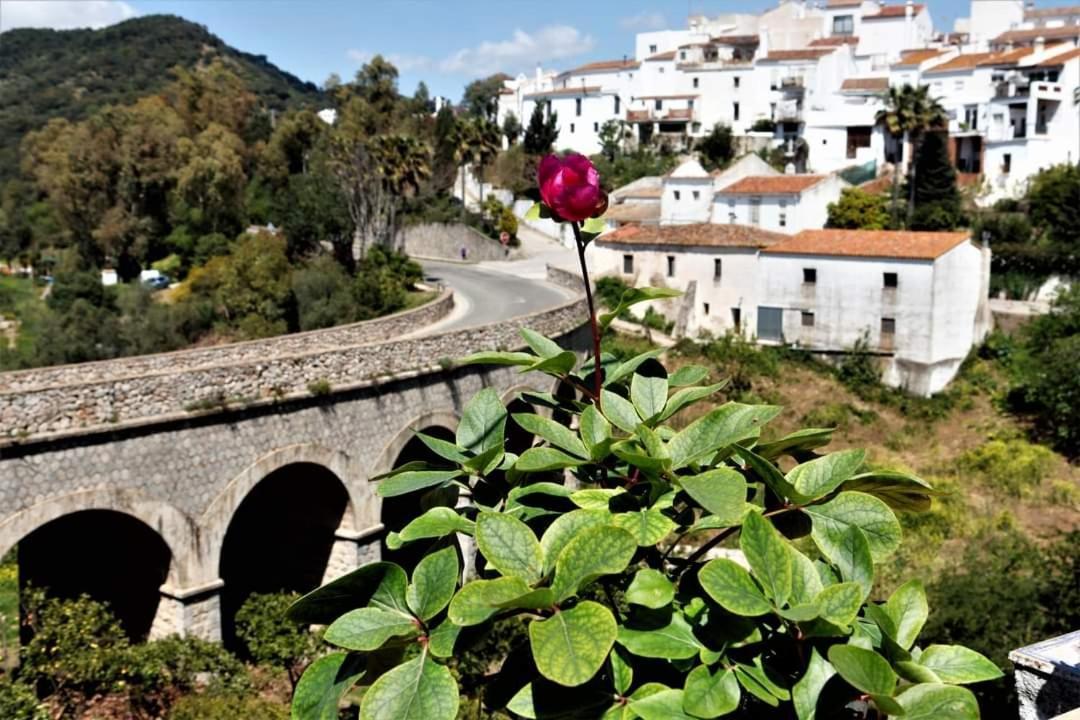 Casa Rural Sierras De Gaucín Εξωτερικό φωτογραφία