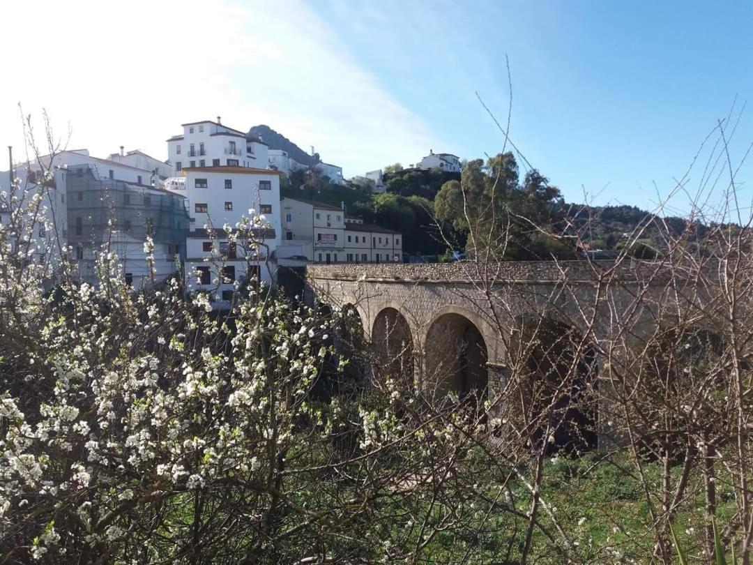 Casa Rural Sierras De Gaucín Εξωτερικό φωτογραφία