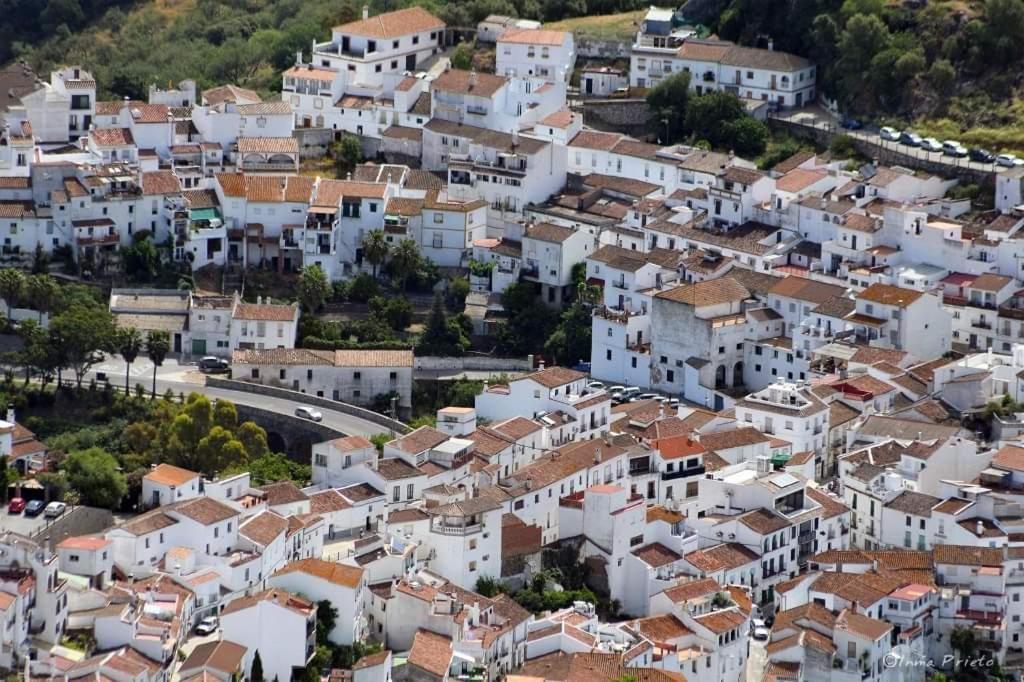 Casa Rural Sierras De Gaucín Εξωτερικό φωτογραφία