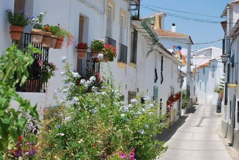 Casa Rural Sierras De Gaucín Εξωτερικό φωτογραφία