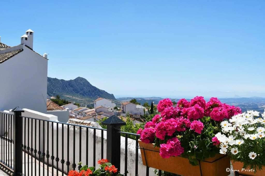 Casa Rural Sierras De Gaucín Εξωτερικό φωτογραφία
